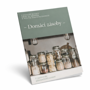 E-book: Jak na domácí zásoby